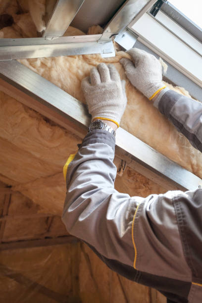 Best Insulation Installation Services in Elmira, NY