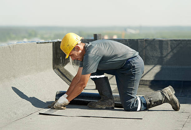 Best Insulation Maintenance and Repair in Elmira, NY